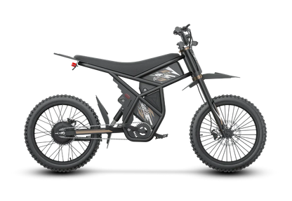Riding'times GT73 Pro Electric Motorbike
