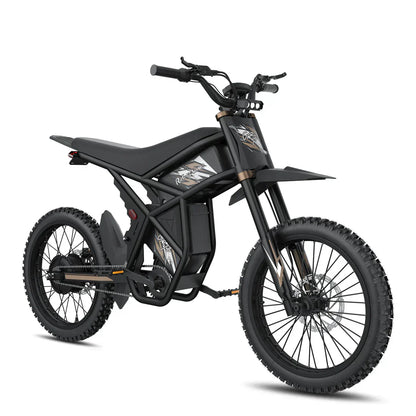 Riding'times GT73 Pro Electric Motorbike